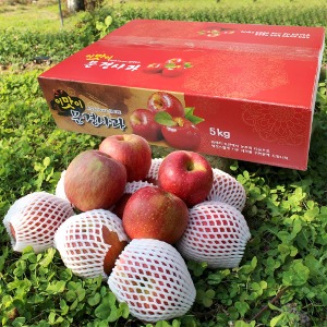 당도보장 햇 문경사과 부사 5kg 특대 사과선물세트