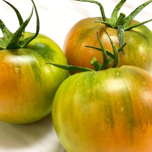 당일수확 선별 짭짤이 토마토 대저토마토 2.5kg 쥬스용 못난이 / 로얄과